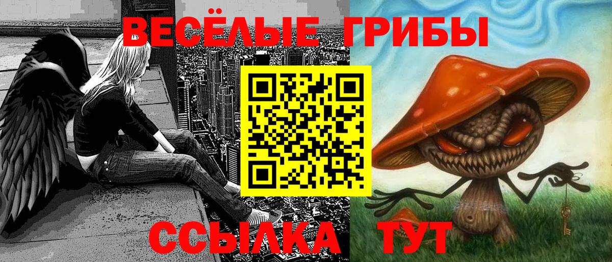 Псилоцибиновые грибы GOLDEN TEACHER  Вход с VPN  Галлюциногенные грибы ЛСД  Йошкар-Ола 